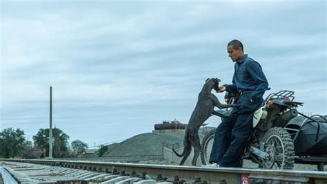 certain man's memorandum|Black Dog: a winningly absurd tale of man's best friend.